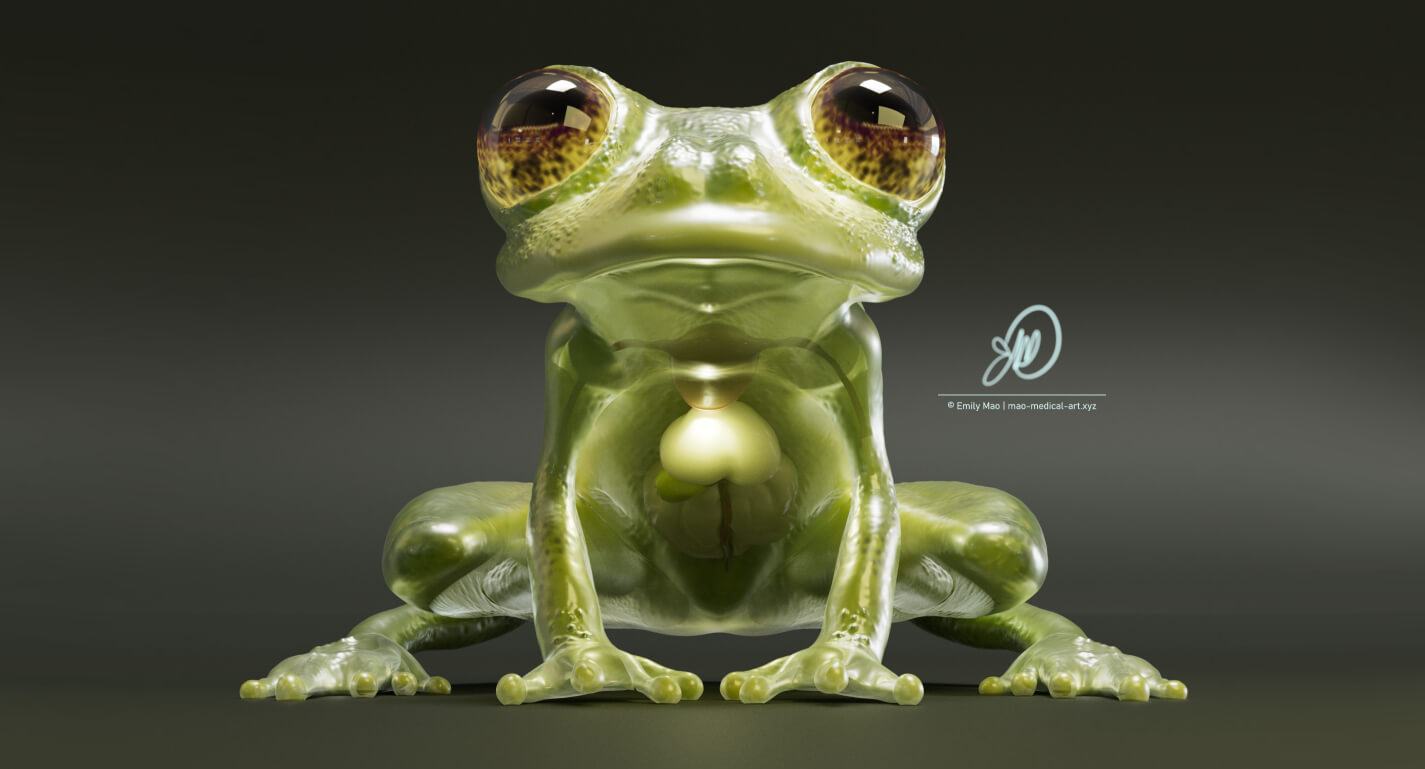 3D Sculpted Glass Frog
