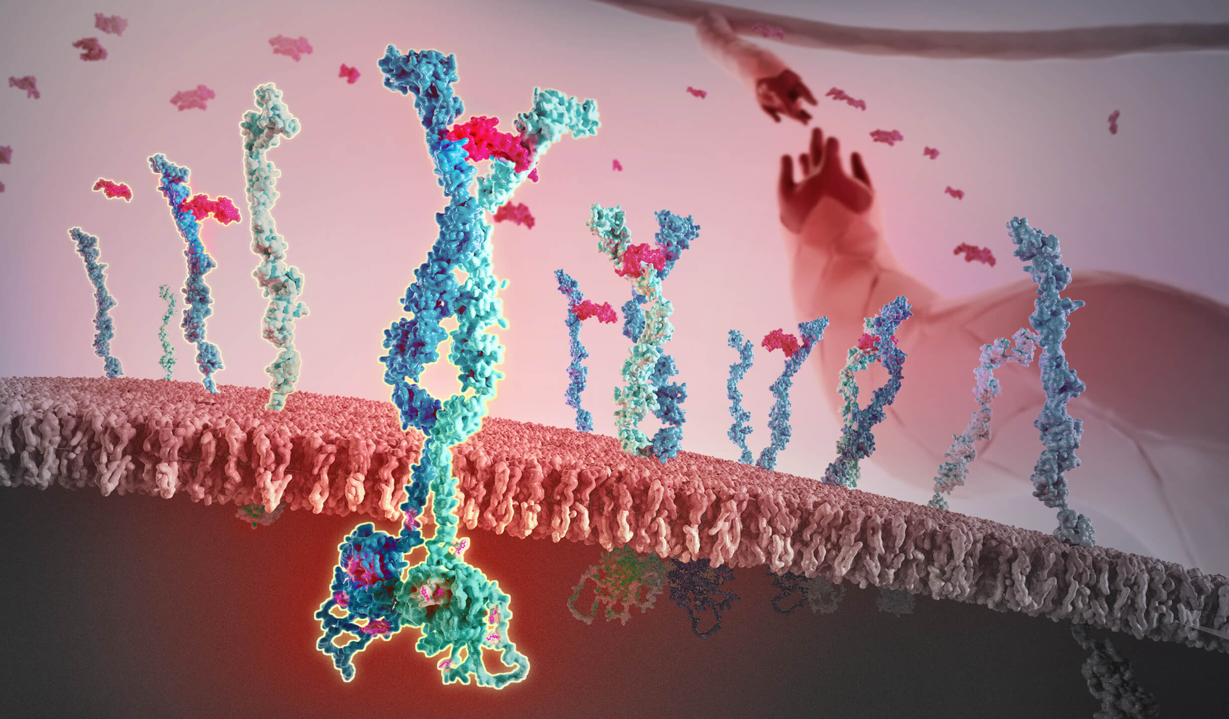 Molecular Visualization of VEGFR-2